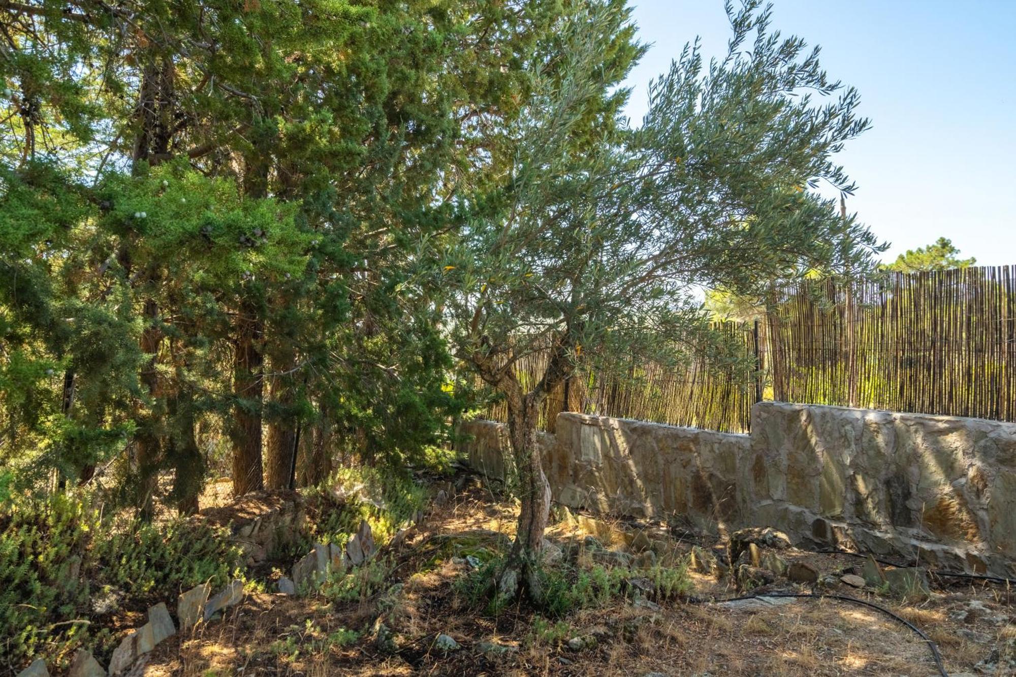 Casa Rural Los Olivos De Robledo De Chavela La Estacion Zewnętrze zdjęcie